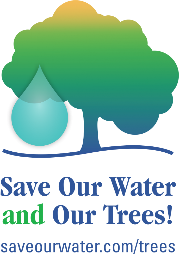 Salvemos nuestra agua y nuestros árboles